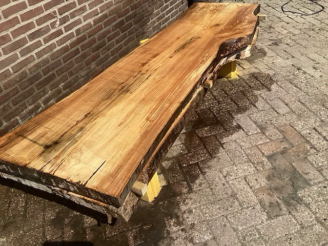Nederlands iepen (2x) - afbeelding 3 van  7