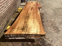 Nederlands iepen (2x) - afbeelding 4 van  7