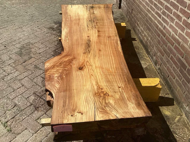 Nederlands iepen (2x) - afbeelding 7 van  7