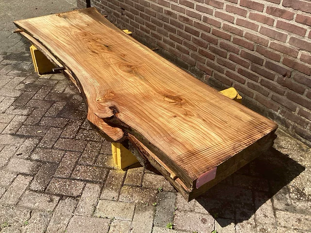 Nederlands iepen (2x) - afbeelding 1 van  7