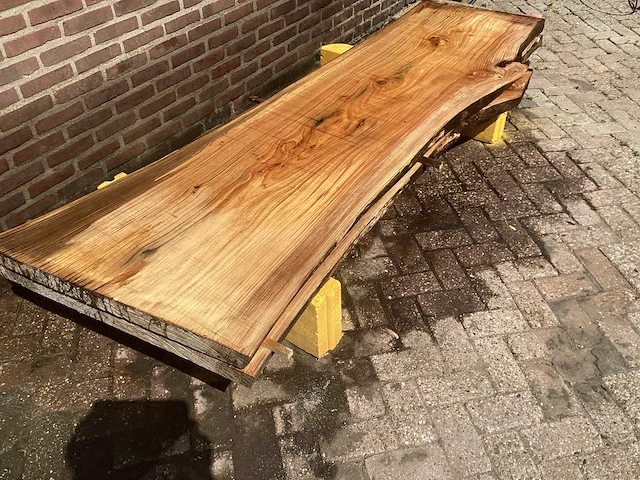 Nederlands iepen (2x) - afbeelding 3 van  7