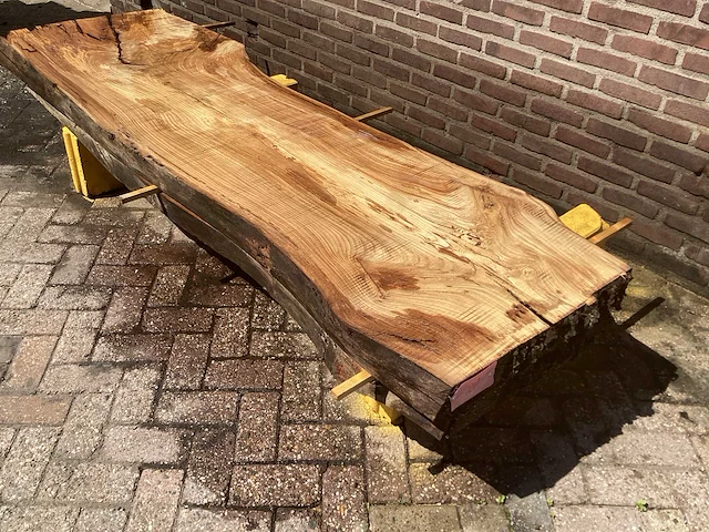Nederlands iepen (2x) - afbeelding 1 van  7