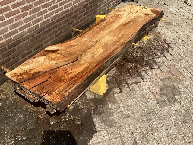 Nederlands iepen (2x) - afbeelding 3 van  7