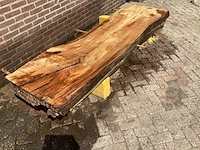 Nederlands iepen (2x) - afbeelding 3 van  7