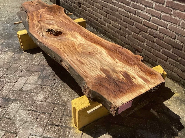 Nederlands iepen (2x) - afbeelding 1 van  8