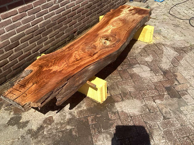 Nederlands iepen (2x) - afbeelding 3 van  8