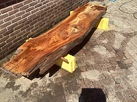 Nederlands iepen (2x) - afbeelding 3 van  8