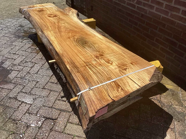 Nederlands iepen (2x) - afbeelding 1 van  8