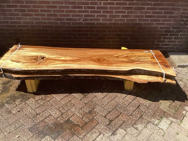 Nederlands iepen (2x) - afbeelding 2 van  7