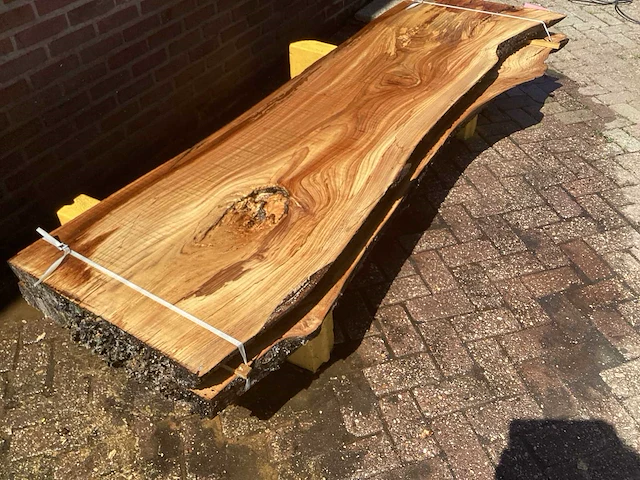 Nederlands iepen (2x) - afbeelding 3 van  7
