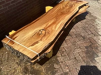 Nederlands iepen (2x) - afbeelding 3 van  7