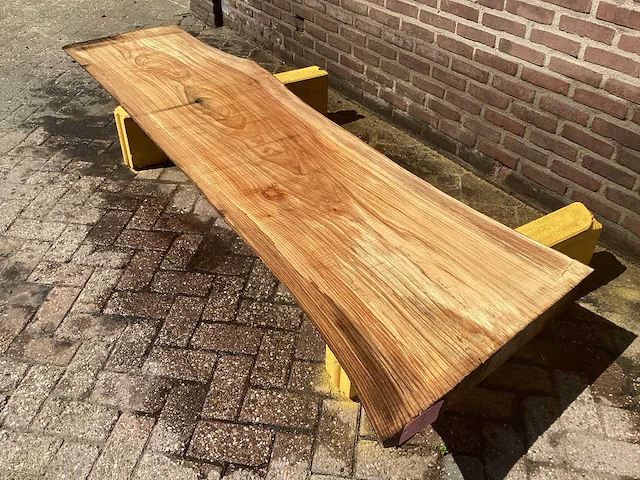 Nederlands iepen - afbeelding 1 van  7