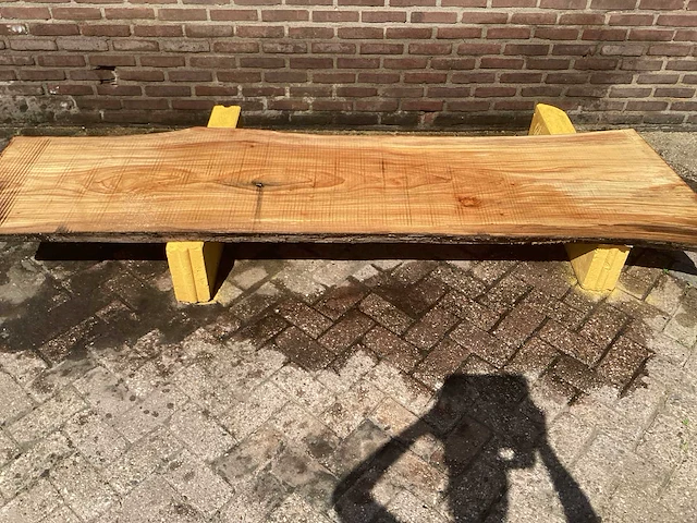 Nederlands iepen - afbeelding 2 van  7