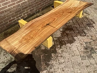 Nederlands iepen - afbeelding 3 van  7