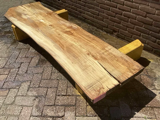 Nederlands iepen - afbeelding 1 van  7