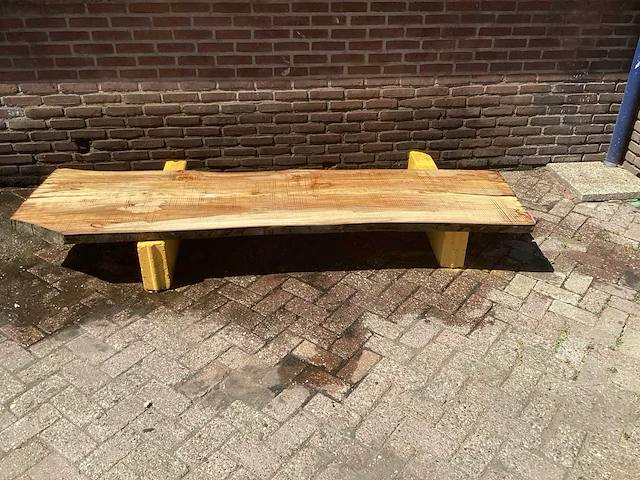 Nederlands iepen - afbeelding 2 van  7