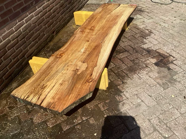 Nederlands iepen - afbeelding 3 van  7