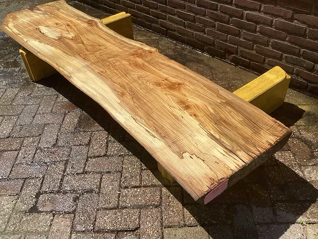 Nederlands iepen - afbeelding 1 van  7