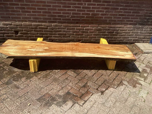 Nederlands iepen - afbeelding 2 van  7