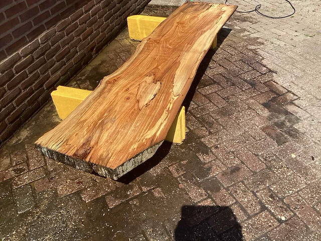 Nederlands iepen - afbeelding 3 van  7
