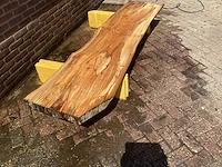 Nederlands iepen - afbeelding 3 van  7