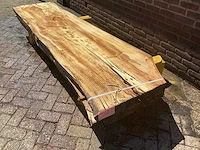 Nederlands iepen - afbeelding 1 van  7