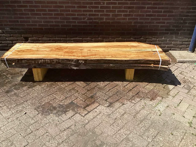 Nederlands iepen - afbeelding 2 van  7
