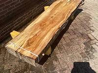 Nederlands iepen - afbeelding 3 van  7