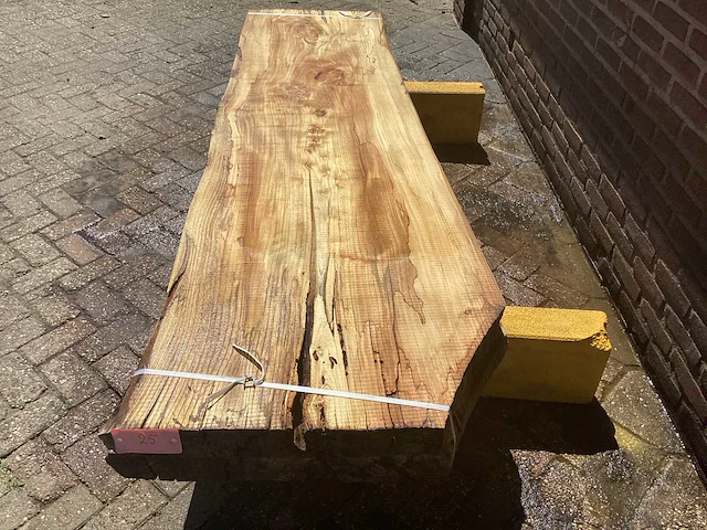 Nederlands iepen - afbeelding 7 van  7