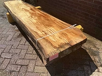 Nederlands iepen - afbeelding 1 van  7