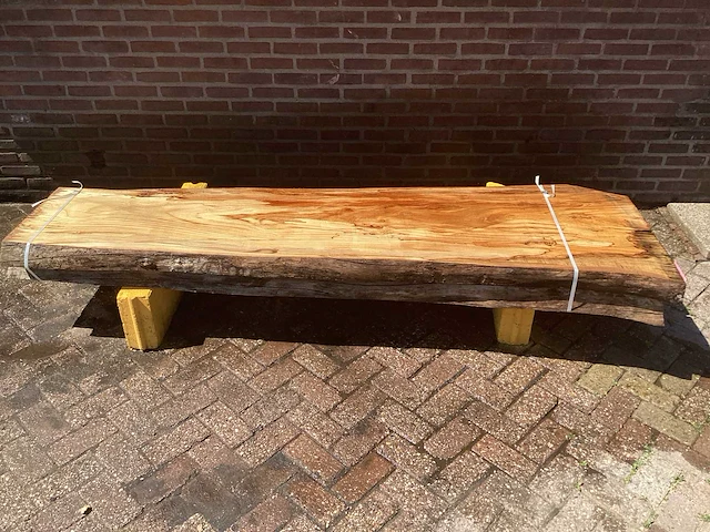 Nederlands iepen - afbeelding 2 van  7