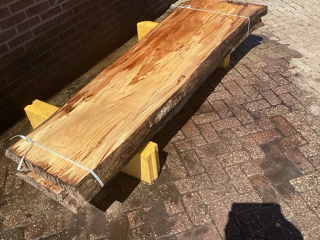 Nederlands iepen - afbeelding 3 van  7