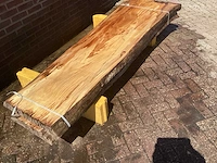 Nederlands iepen - afbeelding 3 van  7