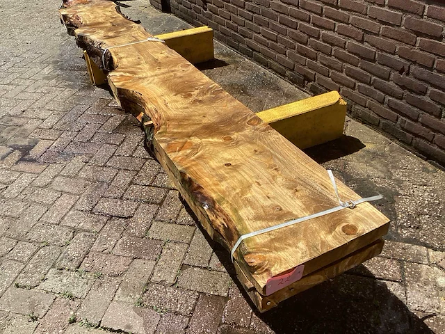 Nederlands naaldhout (2x) - afbeelding 1 van  6