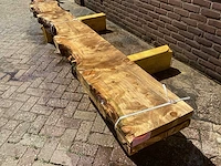 Nederlands naaldhout (2x) - afbeelding 1 van  6