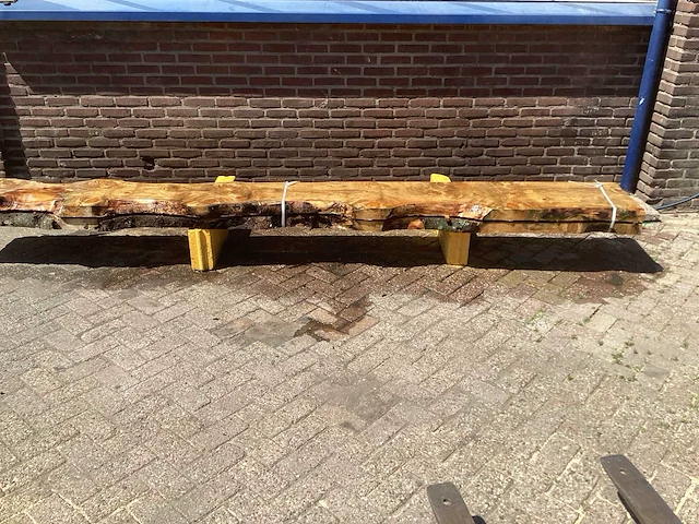Nederlands naaldhout (2x) - afbeelding 2 van  6