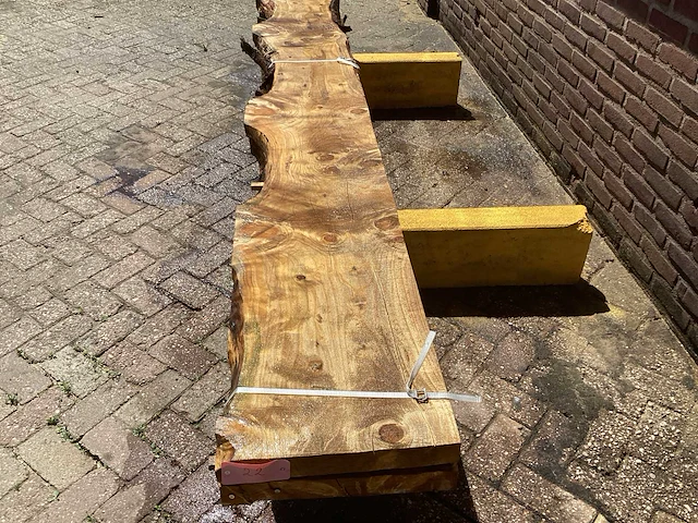 Nederlands naaldhout (2x) - afbeelding 6 van  6