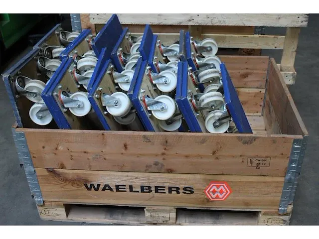 Negentien transporthondjes in palletbox. - afbeelding 2 van  2