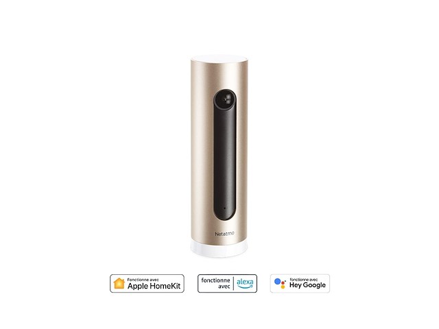 Netatmo slimme binnencamera met muurbevestiging wifi bewegingsdetectie nachtzicht fhd 1080p microsdkaart zonder abonnement - afbeelding 2 van  5