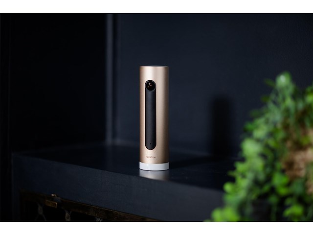 Netatmo slimme binnencamera met muurbevestiging wifi bewegingsdetectie nachtzicht fhd 1080p microsdkaart zonder abonnement - afbeelding 3 van  5