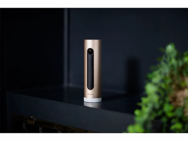 Netatmo slimme binnencamera met muurbevestiging, wifi, bewegingsdetectie, nachtzicht, fhd 1080p - afbeelding 3 van  4