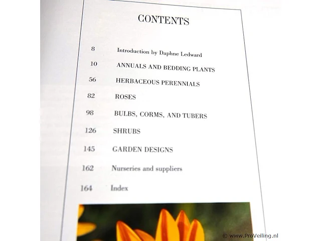 New flowers - afbeelding 3 van  5