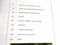 New flowers - afbeelding 3 van  5