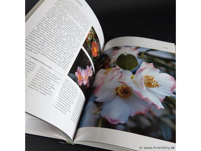 New flowers - afbeelding 4 van  5