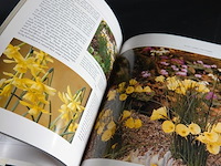 New flowers - afbeelding 5 van  5