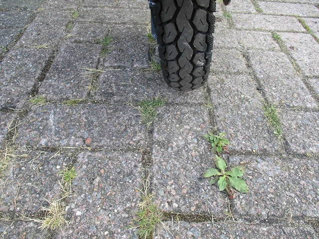 Niu u pro - snorscooter - m1 sport - e-scooter - afbeelding 9 van  12
