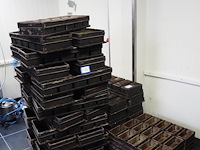 Nn baking forms - afbeelding 3 van  9