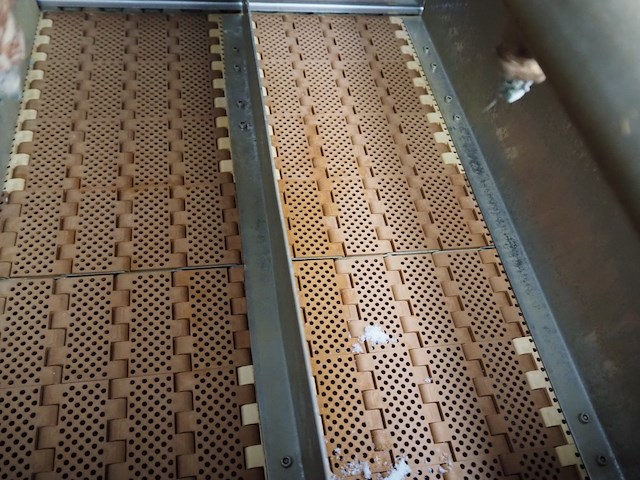 Nn blancher - afbeelding 38 van  38