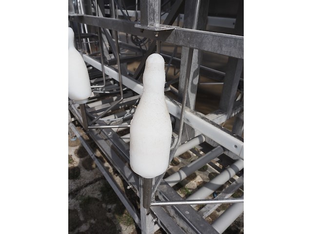 Nn chicken cut-up line - afbeelding 3 van  11