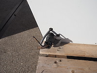 Nn cooling compressor - afbeelding 5 van  6